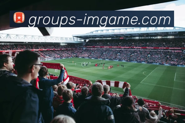 IM体育官网APP 高清赛事图